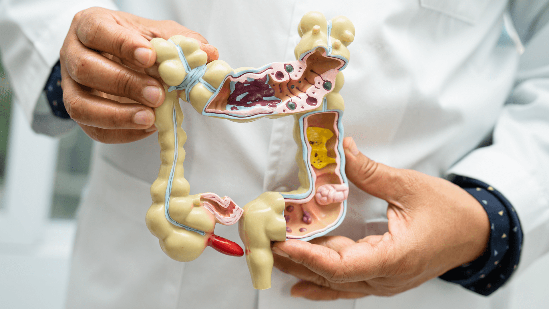 The Truth About Stomach Acid and Digestion: What You Need to Know
