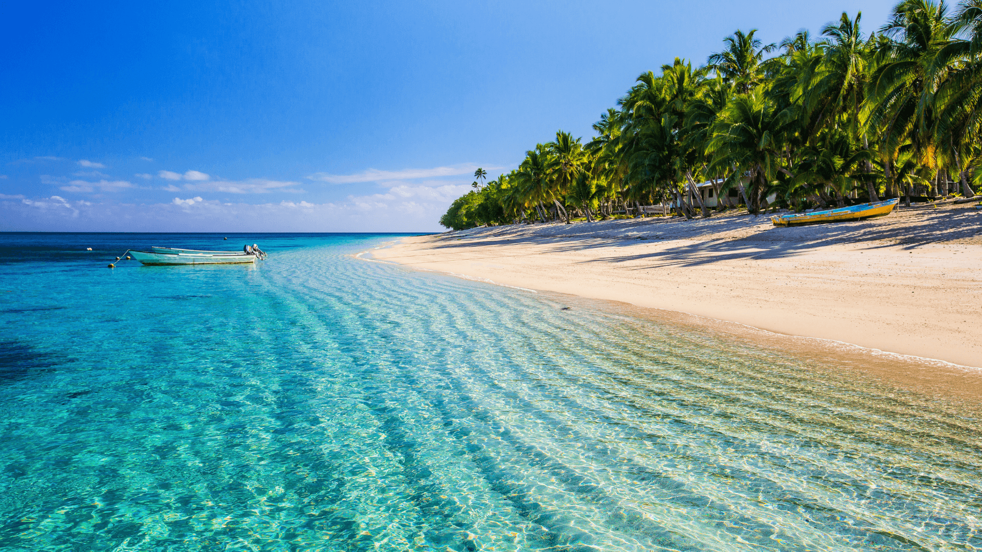 Travel Nutrition Tips: How to Stay Healthy on the Go